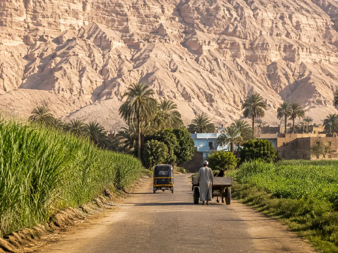 A West Bank lane: sugarcane on one side, a tuk-tuk and a donkey cart on the road, dead cliffs closing the end of it